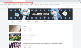 哔哩哔哩视频,揭秘网络潮流背后的故事